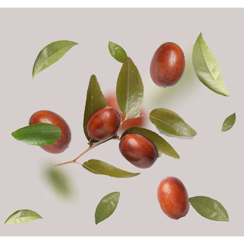 jojoba