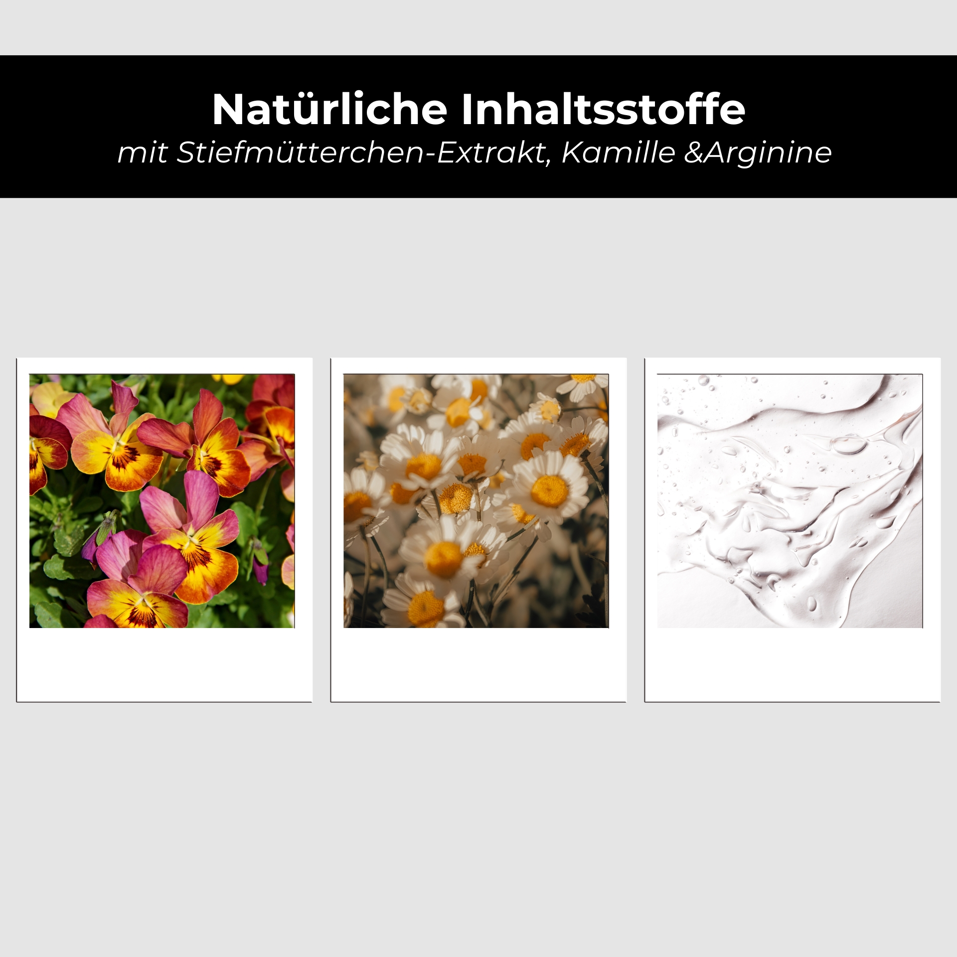 含酒精的净化滋补品 200 毫升,适用于不洁皮肤 Blume, Blütenblatt, Anemone, Gänseblümchen, Collage