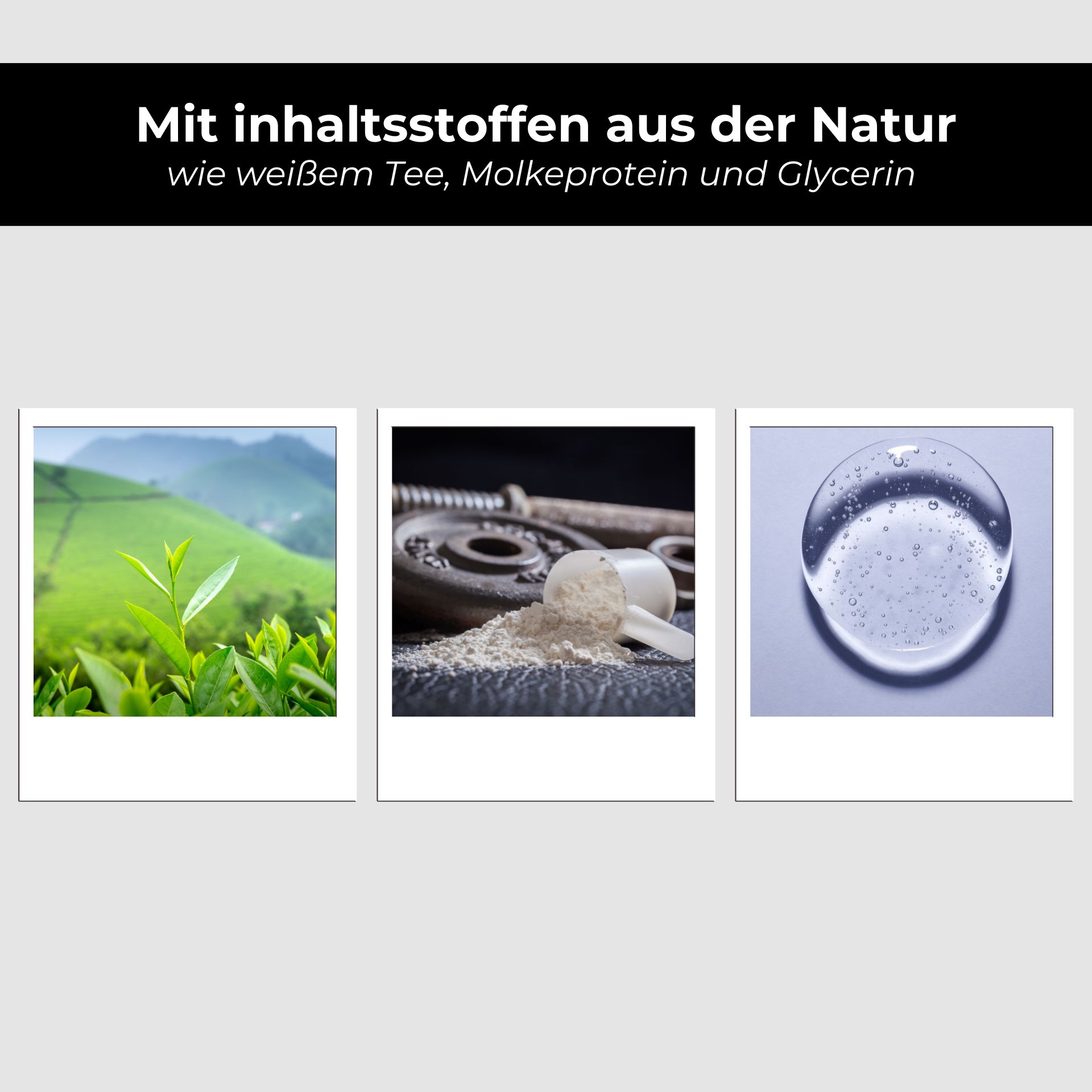 RAU White Tea & Whey Protein Hair Conditioner 500 ml Kräuterig, Blatt, Boden, Bewuchs, Collage