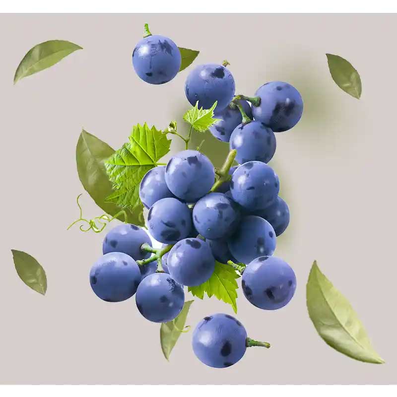 Weintraubenöl Weintraubenöl